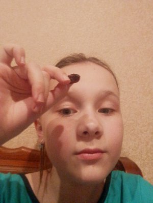 пробую шоколадные камни