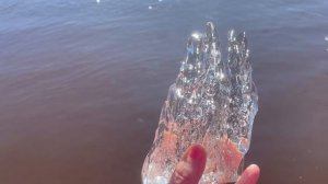 Луга просыпается