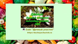 Дачный Лунный посевной календарь на апрель 2026 года для садоводов и огородников