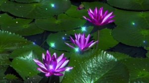 очень красивая расслабляющая музыка для сна, которая завораживает