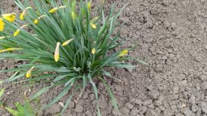 Куда бы посадить