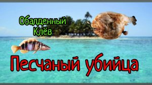 Обалденный клёв Песчаный убийца и одинаковая рыба каменый окунь игра My Fishing World