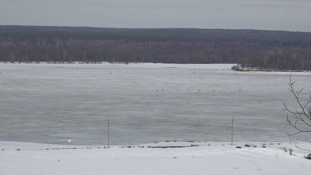 Где рыбачат Рыбаки Рыбаков стало больше Чебоксарская ГЭС Ковш 22 03 2026