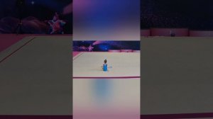 соревнования по художественной гимнастике 2 вида 1 место