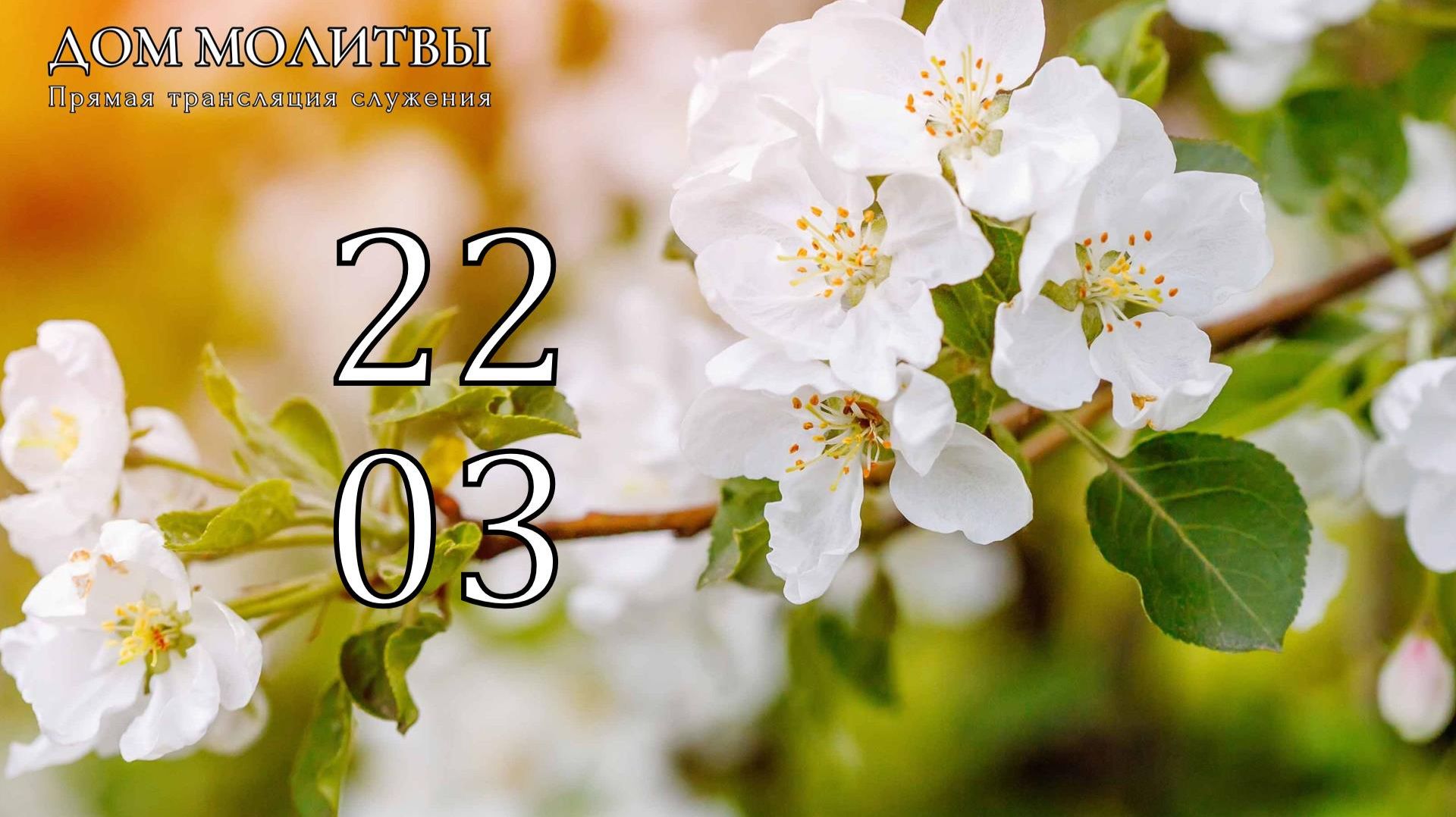 22.03.2026 - Прямая трансляция ст.Елизаветинская