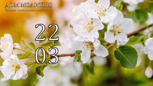 22.03.2026 - Прямая трансляция ст.Елизаветинская