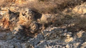 Севастополь пляж Баунти восхождение 14.03.2026