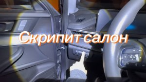 Чери Тиго 7 про макс скрипит салон