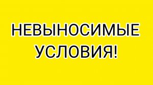 Ждал и терпел много лет!