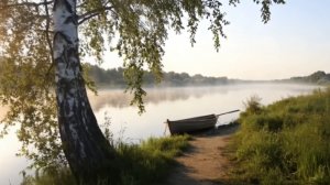 Тропинка у реки/ Прогулка среди берёз #пейзаж #отдых #природаРоссии #красотавокругнас #леснаясказка