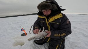 Северная Сосьва. Март 2026г. Ч.2