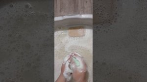 🌲❤️ХВОЙНОЕ ТВЕРДОЕ 🔥🌲