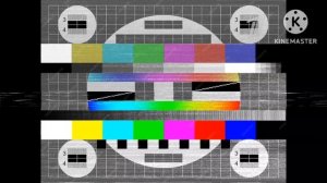 _kotinet_zastavka_2017