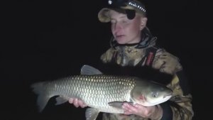 ТАКИХ Я ЕЩЕ НЕ ЛОВИЛ! ЭКСПЕРИМЕНТЫ НА МОНСТРОВ! Подводные съемки на Волге. Рыбалка.