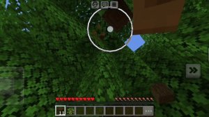 Мы вместе с Бро играем в лесоруба в Майнкрафта!!!