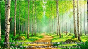 Манифест жителей Планеты Земля (Терра,Гайя) о жизни в Новом Светлом Мире.С субтитрами