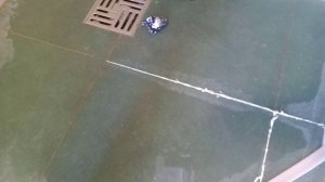 Замена кантика в душе.