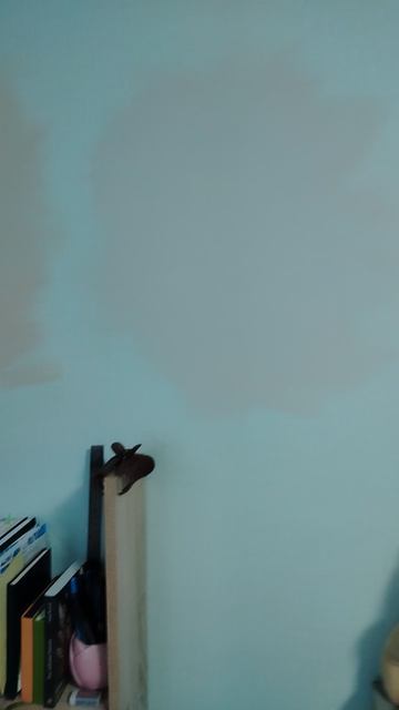 Что выбрать?