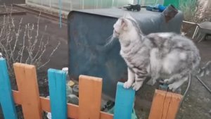 ВЕЧЕРНИЕ ОГОРОДНЫЕ ЗАБОТЫ 20.04.23._садогород_огородник_дачница_мойогород_6соток