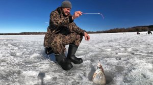 Последний лёд. Рыбалка на леща. Ледовая обстановка на водоеме.21 марта.