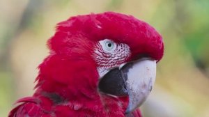 УСПОКАИВАЮЩАЯ МУЗЫКА ДЛЯ ОТДЫХА