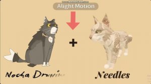 Коллаб с Хвоей