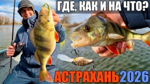Открытие рыбалки в Астрахани – места, приманки и проводки | Рыбалка 2026