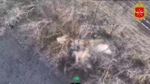 Боевая работа операторов БПЛА