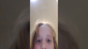 снова хомяки