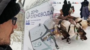 День оленевода - Салехард, 500 литров супа, обзор всех чумов, традиции, снегоходы, товары и еда