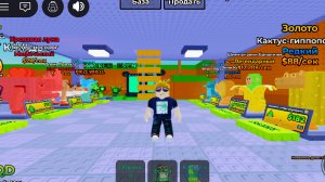 новые гости