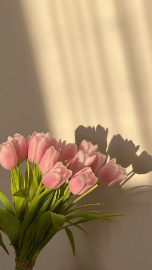 Красивенький вещи в бесплатной больнице /TOKA_BOKA/TOKA_BOKA/Маруся _NEW /💗☺️🌸