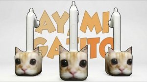 АЙ МИА ГАТИТО ОТАМАТОН РЕМИКС! ЛЕГЕНДАРНЫЙ МОНТАГЕМ МЯУ КОТИК НА СМЕШНОМ ИНСТРУМЕНТЕ