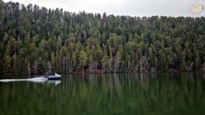 Павловка осенью прекрасна! Щука клюет стабильно!