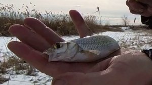 Рыбалка на краю весны !