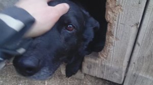 Херсонщина 22 марта 2026 года