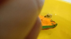 видео потопление Грея первая часть