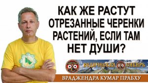 Как же растут отрезанные черенки растений, если там нет Души?