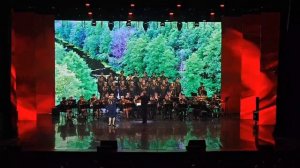 video_11706847223746