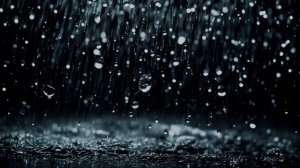 Вот и всё 2026.mp4