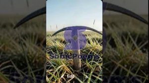 Сергей Есенин — Я иду долиной (вар2)