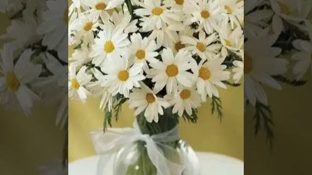 Ромашковый букет (Алёна Далида)