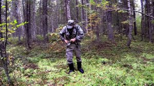 ТАЙГА. ЛЕСНИКИ молчали ГОДАМИ... Что они прячут в Тайге