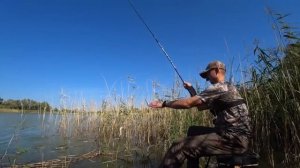 ВОТ ЭТО ПОПЁРЛО! СМЕНИЛ НАЖИВУ САЗАН, КАРАСЬ, ПЛОТВА! Рыбалка на поплавок. Ловля сазана.