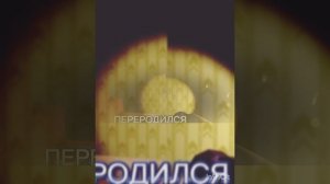 бемкрумс 2 часть