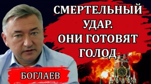 Владимир Боглаев. Катастрофа по плану. Блокировки в сетях, голод и надвигающийся госпереворот.