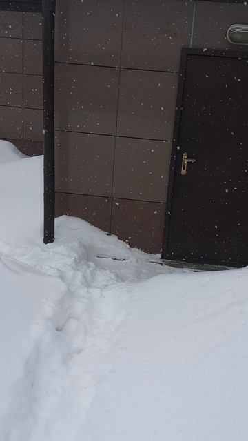 Заряд снега такой, что горизонта не видно и видимость О