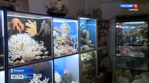 В Крыму обнаружили уникальную находку — коралл-мозговик возрастом 160 миллионов лет