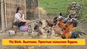 Thị Bình. Вьетнам. Простые сельские будни.