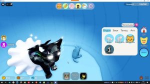 играем в игру с котятами